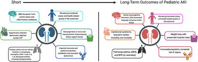 The Neglected Price of Pediatric Acute Kidney Injury: Non-renal Implications